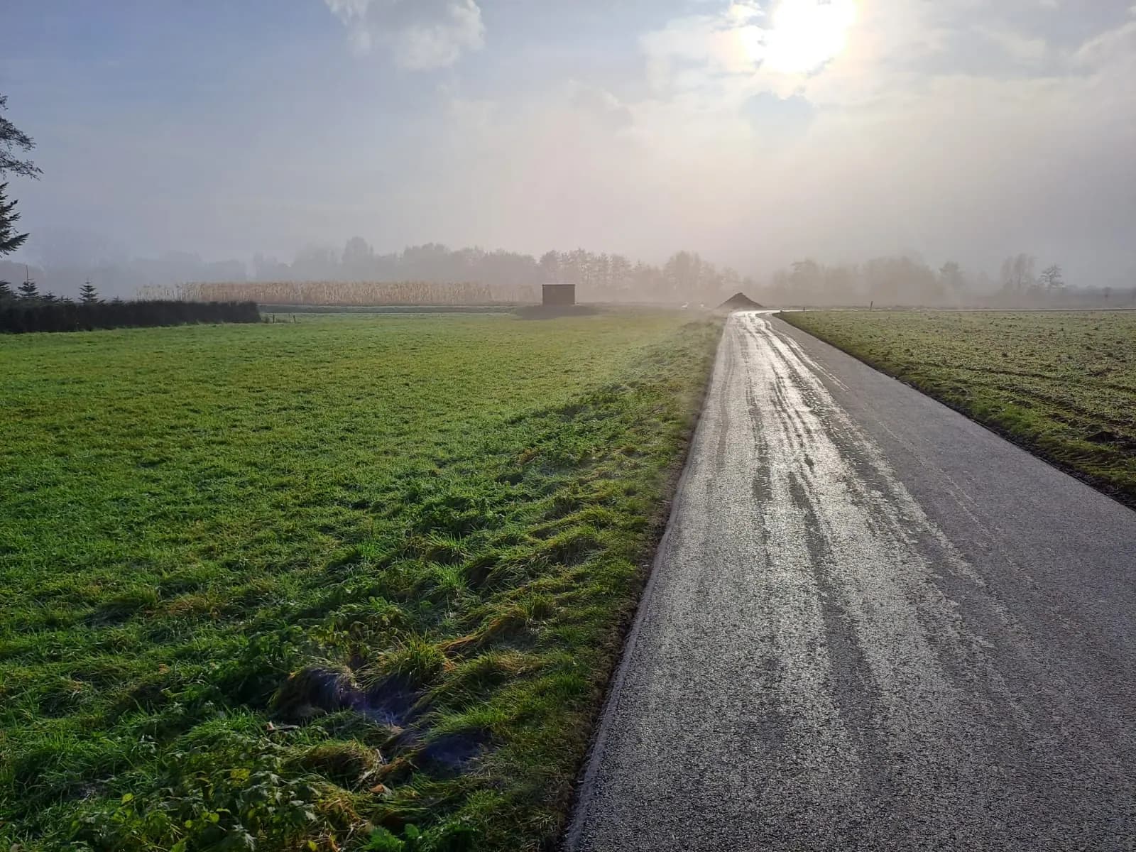 Wirtschaftsweg im Gegenlicht der Morgensonne